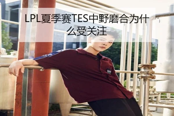LPL夏季赛TES中野磨合为什么受关注